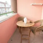 Centrum 2 شقة